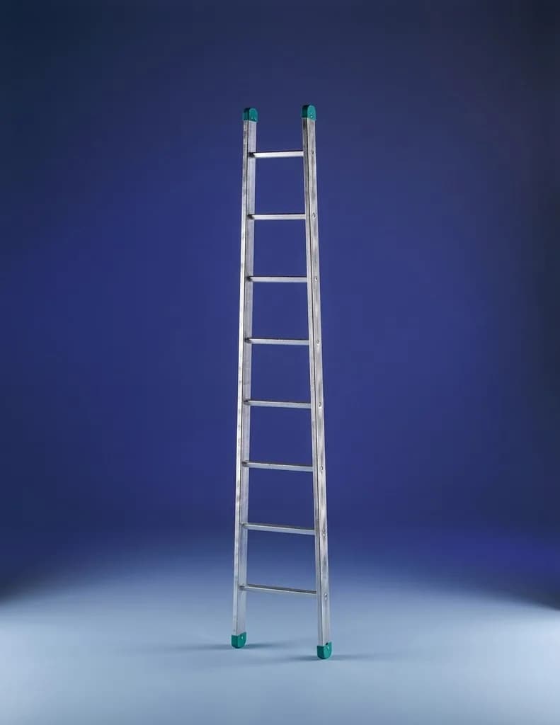 Приставная лестница для садово-огородных работ SVELT AGRICOLA 12 ступеней